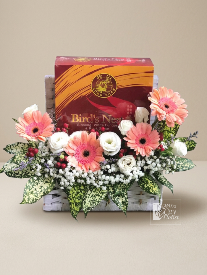 Bird nest surprise